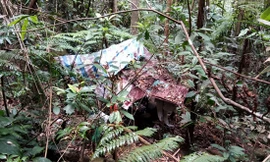 Nơi phát hiện thi thể nam thanh niên