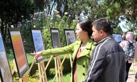 giới trẻ xem triển lãm