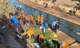 Đông đảo thanh niên tham gia dọn rác ở suối Cam Ly