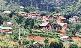 Một góc của ngôi làng "mọc" trái phép trên đất rừng