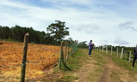 Dựng hàng rào bao chiếm đất rừng