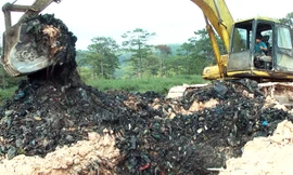 Khai quật rác chôn lấp trái phép