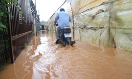 Nước từ suối tràn lên đường