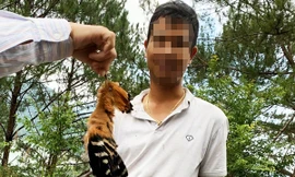 Chim đầu rìu bị bắn chết - ảnh H.Đ.T