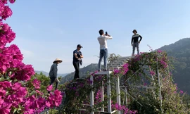 Giới trẻ hào hứng check in ở Đà Lạt 