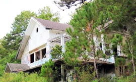 Biệt thự kiến trúc Pháp bị bỏ hoang