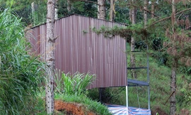 Cất nhà trái phép trong rừng ở Phường 4