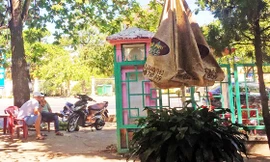 Nơi các phóng viên bị hành hung