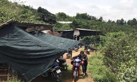 Khu vực các đối tượng tổ chức đá gà ăn tiền.