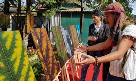 Nghệ sĩ nhiếp ảnh MPK thuyết minh bộ ảnh lá Mai anh đào