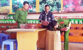 Kiểm tra, thu giữ nhiều loại mứt không có nguồn gốc, xuất xứ