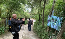 Triển lãm ảnh dưới tán rừng