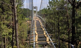 Cầu đáy kính dài tới 255m