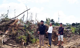 Đưa 3 đối tượng đi thực nghiệm hiện trường vụ phá rừng