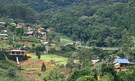 Một góc của ngôi làng "mọc" trái phép