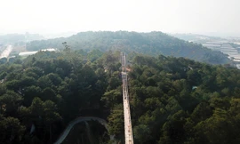 Cây cầu dài hun hút xây không phép