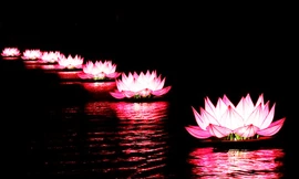 Thắp sáng "7 đóa sen nhiệm mầu" trên hồ Xuân Hương