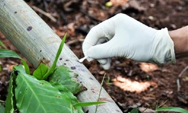 Thu thập chứng cứ vụ án mạng