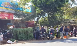 Nhiều nông dân đi tìm chỗ bán hoa lay ơn nhưng ít người mua.