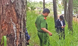 Công an vào cuộc điều tra vụ đầu độc thông