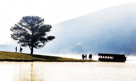 Khu vực nam thanh niên tự tử