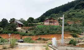 Đưa điện trung thế vào ngôi làng 'mọc' trái phép