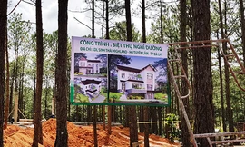 Phá rừng, xây dựng trái phép tại di tích quốc gia hồ Tuyền Lâm