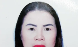 Dùng sổ đỏ giả lừa ngân hàng 22 tỷ đồng