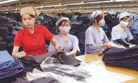 Công nhân Cty may Ninh Bình trong ca làm việc Ảnh: Hồng Vĩnh