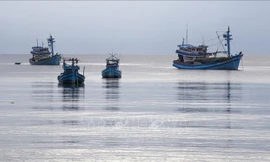 Tàu cá neo đậu ở huyện đảo Phú Quốc, tỉnh Kiên Giang. Ảnh: TTXVN.