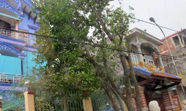 Vợ chồng 'cậu Thủy' và những màn kịch 'cúng được vàng', tìm được mộ