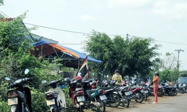 Xác bé trai kẹt vào rễ cây dưới suối