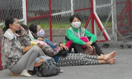 Người nhà đội nắng, vật vã chờ thí sinh ngoài trường thi