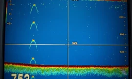 Vật thể lạ dưới hồ Loch Ness. Ảnh: mirror.co.uk