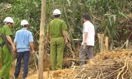 Ngành chức năng kiểm tra và triệt phá một hầm của vàng tặc