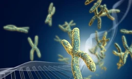  Vì sao con người không trường sinh bất tử? 