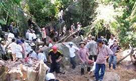 Các phu tìm trầm. Anh: Thanh Niên