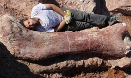  Mẩu xương bắp đùi của con khủng long gần vùng La Flecha, Argentina to hơn cơ thể người đàn ông phương Tây. Ảnh: BBC