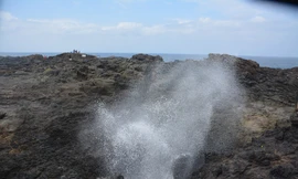  Khi biển cất tiếng 