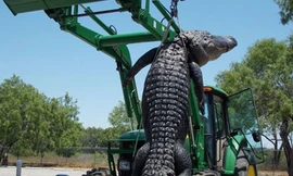 Ảnh minh họa: AP