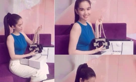 Muôn kiểu phản ứng của sao Việt khi bị tố dùng hàng nhái