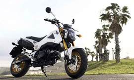 Điểm nhấn của Honda MSX125 phiên bản 2014 là một số thay đổi đáng kể về mặt thiết kế.