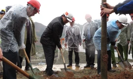 Phó Thủ tướng phát động trồng cây bảo vệ môi trường