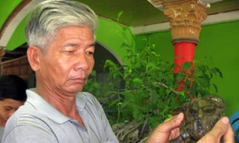 Ông Nông với con ba ba có hình y chang mặt người 