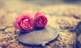 Chùm thơ tình ngày Valentine