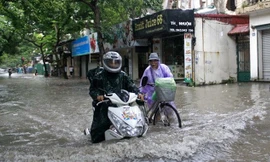 Ảnh minh họa: Thế Duyệt/TTXVN 