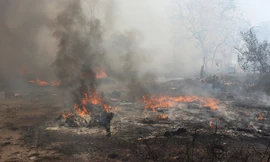 Bãi cỏ rộng hàng ngàn m2 cháy ngùn ngụt thiêu rụi 5 nhà dân