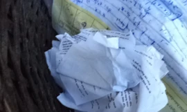 Phát hiện “phao ” ở hội đồng thi cấm báo chí vào trường