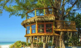 Ngắm nhà cây tuyệt đẹp trên thế giới