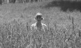 Cảm nhận “exile” (Taylor Swift): Lắng nghe là điều cần nhất cho một cuộc tình bền vững